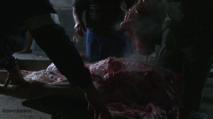 01363001_pig_800w